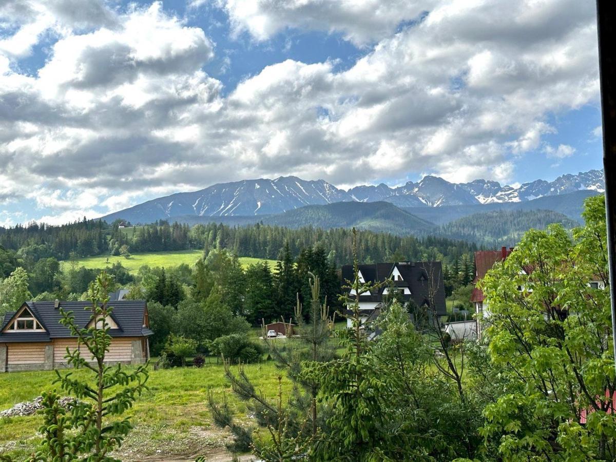 Villa Gronik Zakopane Extérieur photo